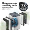 Hamilton Beach Genuine Replacement Activated Carbon Filters for TrueAir Medium