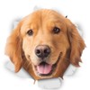 Golden Retriever Sticker, 3D Breakthrough Effect, Reflective, Waterproof, Funny Decoration