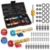 DikTalk AC Schrader Valve Core Removal Tool,60pcs Air Condition Schrader