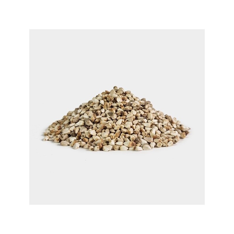 수입산 홍화씨 홍아씨 홍화자 500g Imported safflower seeds 500g