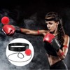 Altipia Punching ball, speed tap ball, concentration, fight, boxing equipment / 펀칭볼 스피트 텝볼 집중력 파이트 복싱 용품