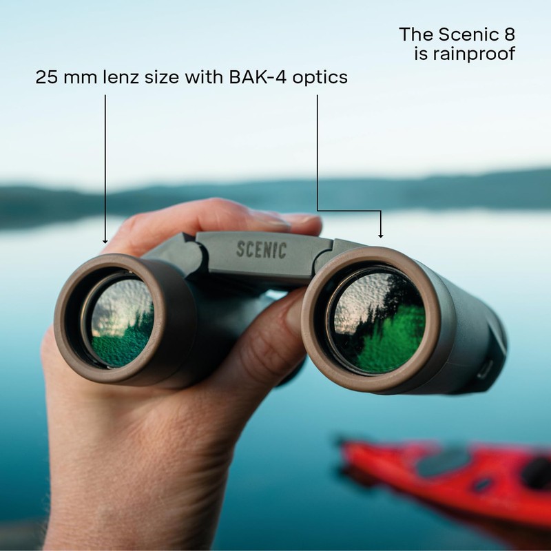Silva Small Binoculars for Adults - Scenic 8-8x25 - Foldable