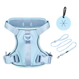 Petmolico Dog Harness for Small Dogs No Pull, Cute Dog Harness with Two Leash Clips and Soft Handle, Reflective Easy Walk Dog Harness with Leash, Light Blue Small