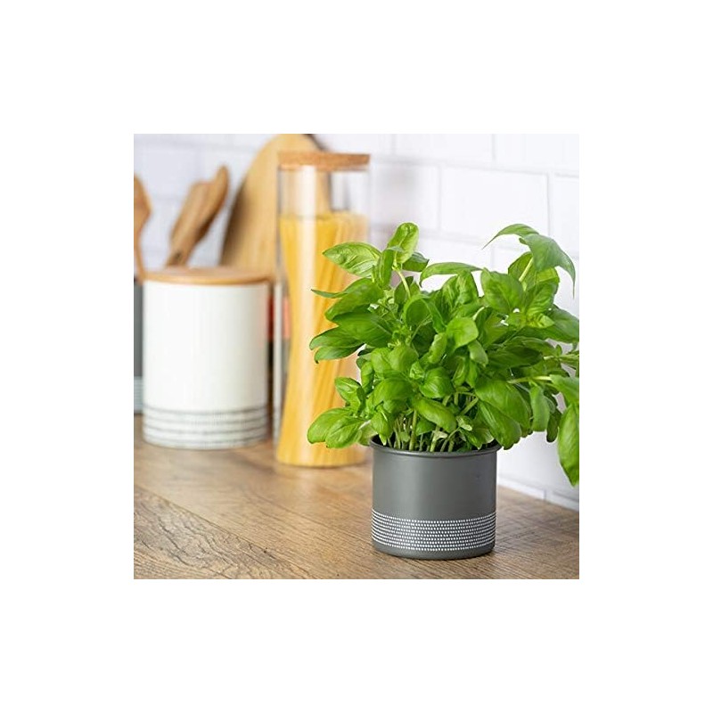Typhoon Monochrome Herb Planter Grey
