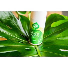 Holy Lama Naturals Ayurvedic Shampoo