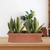 Whitefurze Venetian Window Box Tray 40Cm Terracotta