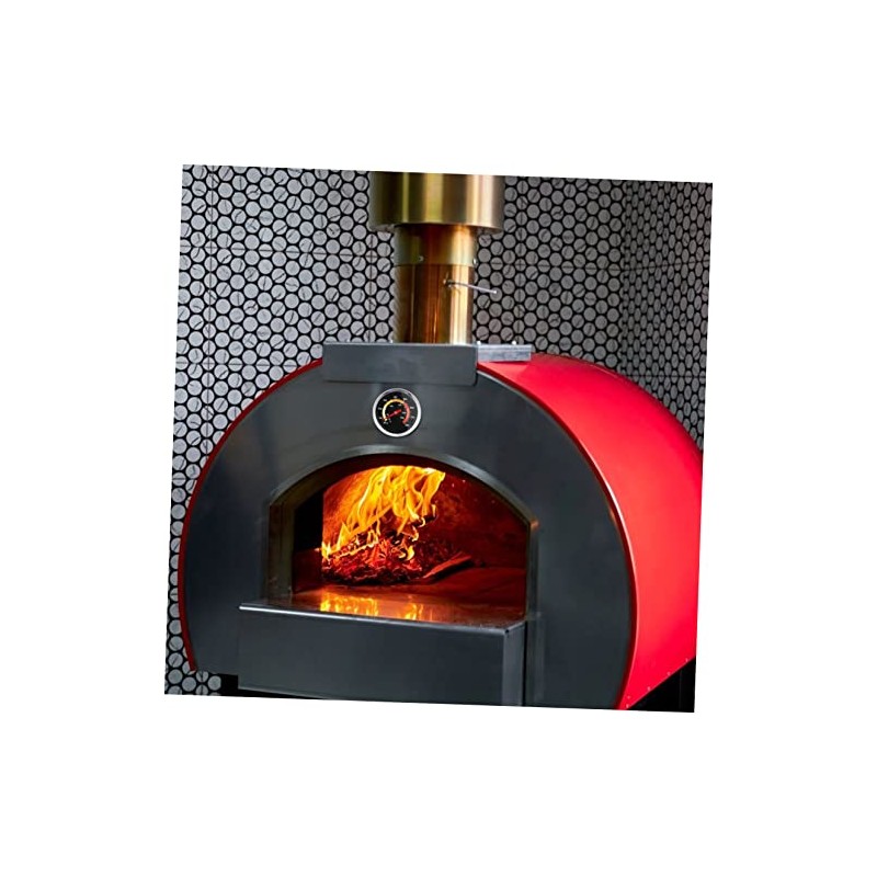 PRETYZOOM Termómetro de Horno para Barbacoa de Acero Inoxidable Medición
