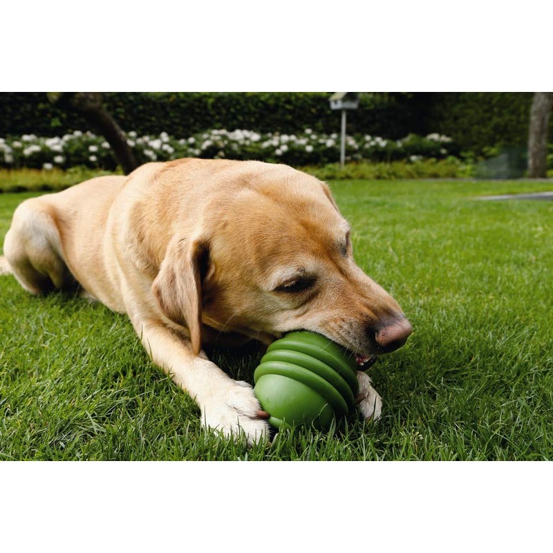 Beeztees Sumo Play Dog Toy, 6 x 6 x 8