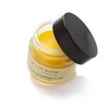 Marigold and Jojoba Oil Eyebrow Balm The Lab Room Calendula