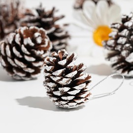 DAHI 30pcs 1.6-2inch Christmas Pine Cones Ornament with String Natural Rustic Pinecones Bulk Ornaments for Crafting for Home Thanksgiving Xmas Christmas Tree Decorations (White(Middle))