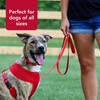 Coastal Pet Single-Ply Dog Leash - Sturdy Pet Leash -