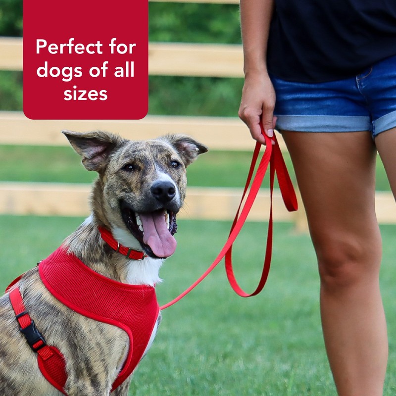 Coastal Pet Single-Ply Dog Leash - Sturdy Pet Leash -