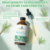 EVOKE OCCU Pine Essential Oil for Home Diffuser Fragrance DIY