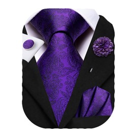 Hi-Tie Ties for Men Pocket Square Cufflinks Lapel Pin Mens Tie set Formal Wedding Business,dark purple paisley