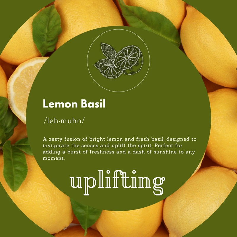 Puremax Foaming Hand Soap Refills | Lemon Basil | All-Natural