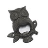 Owl Bottle Opener, 12.5 x 10.5 cm, 260g - Quirky