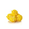 6 Pack - Gourmet Yellow Popcorn Balls - Vanilla Flavored
