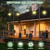 Double Shepherds Hooks for Outdoor, Heavy Duty Bird Feeder Pole