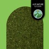 Dill weed (250g, 8.8 oz), Dill tips rubbed, dill tips