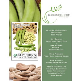 "Broad Windsor" Fava Bean Seeds for Planting, 25 Heirloom Seeds Per Packet, (Isla's Garden Seeds), Non GMO Seeds, 95% Germination & Purity, Botanical Name: Vicia faba, Great Home Garden Gift