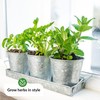 Herb Planter Indoor | Grow Fresh Herbs At Home |