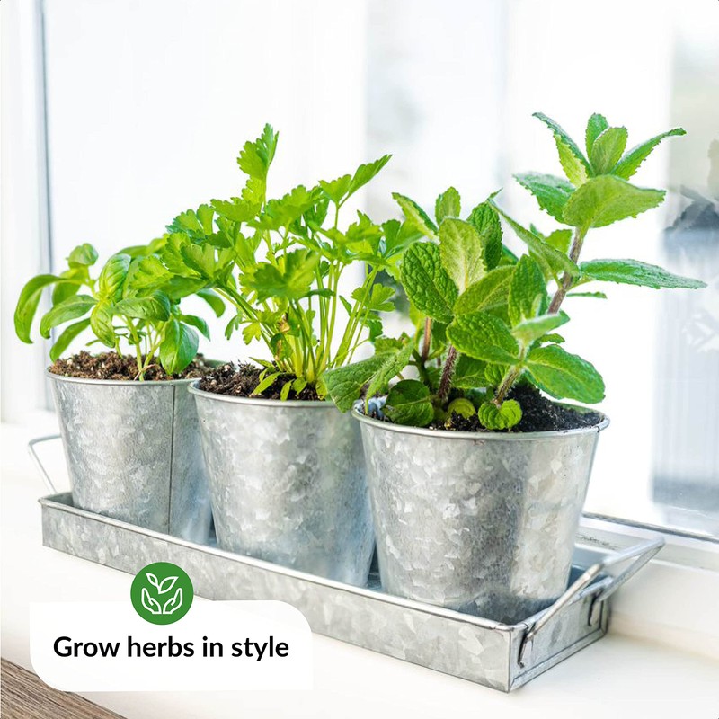 Herb Planter Indoor | Grow Fresh Herbs At Home |