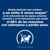 Hills Metabolic Y Urinary Feline 2.8kg Original Sellado