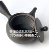 Landscape.com Tokoname Ware Teapot, 222A, Obi Ami, 10.1 fl oz
