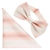 (fo-tyunatoukyou) Fortuna Tokyo 12. Horizon Bow Tie (Pocket Square with)