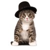 Rubies Costume Co Top Hat for Your Pet, Medium/Large