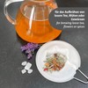 Westmark Teatime 153222E3 Tea Nets for 6-7 Cups of Teatime