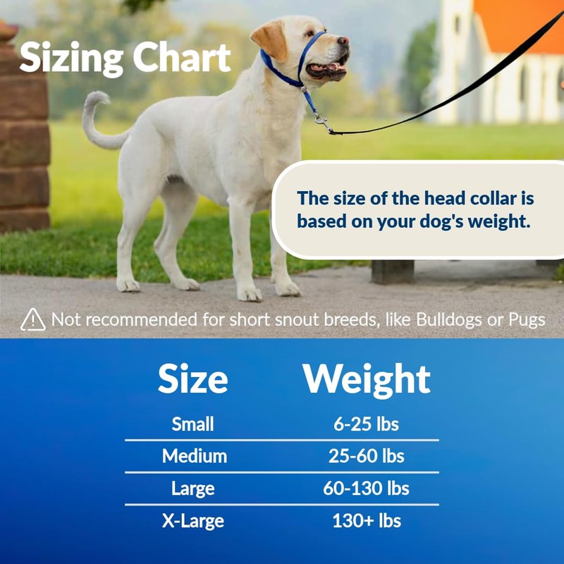 PupSensei Headcollar for Dogs, Extra Soft Padded, Reflective, No Pull