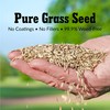 Greenview GreenView Pure Grass Seed Sun & Shade Mixture, 7