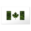 CafePress Canadian Flag with Green Camo Background Sticker Rectangle Bumper