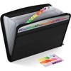 ABC life Document Folder, A4 Black, 13 Compartments, Document Bag,