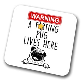 Pug Warning A Lives Here Mum Dad Coaster Dog Dad Pug Dad Friend Funny Gift for Birthday Christmas, Pug Mum Coaster
