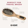 Kent Brushes PF02 Perfect for Smoothing Small Cushion Brush, Wood