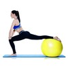 YogaAccessories Anti Burst and Slip Resistant Swiss Yoga Ball for