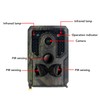 Trail Camera Infrared Night Vision 16MP Photo 1080P Video Motion