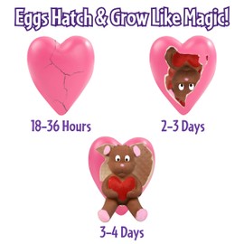 Super Grow Hatching Valentine Heart Eggs (1 Pack) – Hatch & Grow Ladybug, Teddy Bear or Heart Pets in Water – Fun Valentine’s Day Gift, Candy-Free Classroom Treat, Kids Surprise Toy & Party Favor