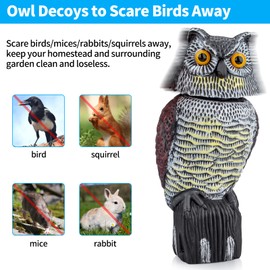 Owl Decoys to Scare Birds & Squirrels Away, 360 Rotating Head, Plastic Garden Owls for Indoor/Outdoor Use