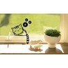 [Pippitto] Wall Sticker Cat Panda Easy Sticker DIY Set of
