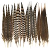 Pheasant Tail Feather Mix (16-18" per 16 Feathers)