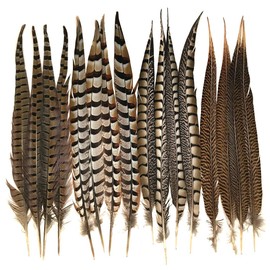 Pheasant Tail Feather Mix (16-18" per 16 Feathers)