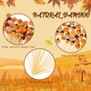 Cocktail Picks 100PCS Fall Pumpkins Maple Leaves 4.7 Inch Fancy