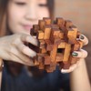 Double Lock-a-Ball Brain Teaser: Mechanical Interlocking 3D Wooden Puzzle for