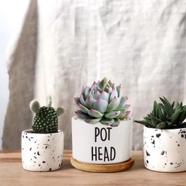Pot Had Funny White Mini 3.5 inch Ceramic Flower Planter Pot with Drainage and Bamboo Tray, Cactus Pot, Mini Succulent Pots, Housewarming Gift for Women, Friends, Coworker (Plants Not Included)