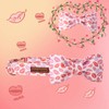 Unique style paws Valentine's Day Dog Collar, Soft Dog Collar