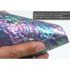 Hotts Luminous Shell L Natural