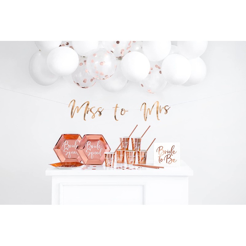 Party Deco 6 Paper Plates Bride Squad Rose Gold 23